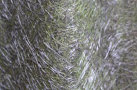 Codford St Mary fibreglass roof work